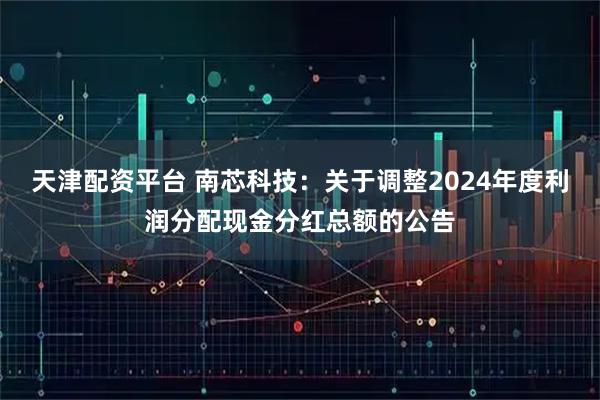 天津配资平台 南芯科技：关于调整2024年度利润分配现金分红总额的公告