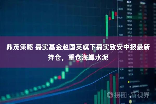 鼎茂策略 嘉实基金赵国英旗下嘉实致安中报最新持仓，重仓海螺水泥