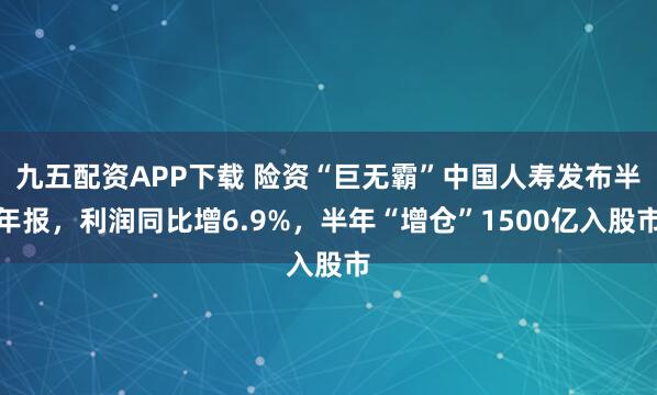 九五配资APP下载 险资“巨无霸”中国人寿发布半年报，利润同比增6.9%，半年“增仓”1500亿入股市