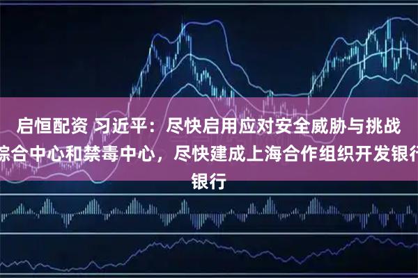 启恒配资 习近平：尽快启用应对安全威胁与挑战综合中心和禁毒中心，尽快建成上海合作组织开发银行