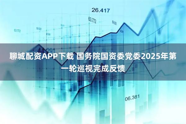 聊城配资APP下载 国务院国资委党委2025年第一轮巡视完成反馈