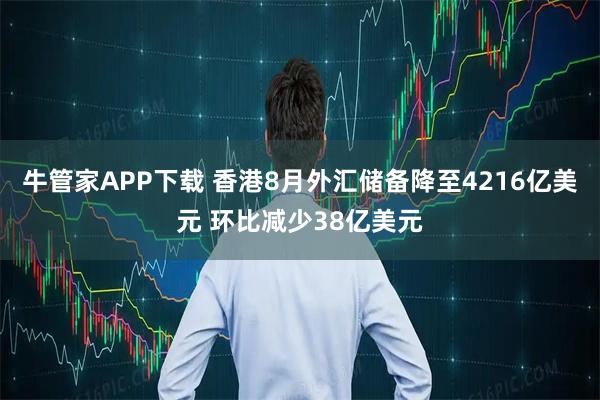 牛管家APP下载 香港8月外汇储备降至4216亿美元 环比减少38亿美元