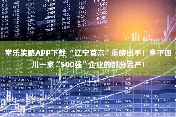 掌乐策略APP下载 “辽宁首富”重磅出手！拿下四川一家“500强”企业的部分资产！