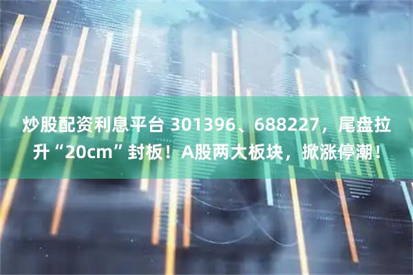 炒股配资利息平台 301396、688227，尾盘拉升“20cm”封板！A股两大板块，掀涨停潮！
